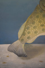 Flounder