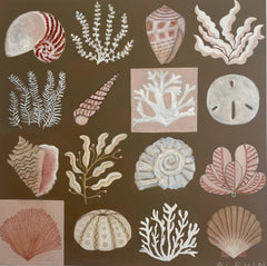 Shells & Seaweed