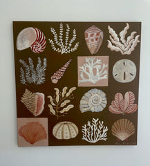 Shells & Seaweed