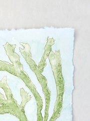 Chartreuse Seaweed No. 1