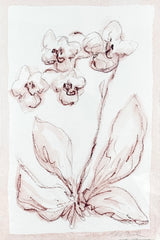 Toile Orchid No. 2