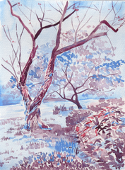 Frost