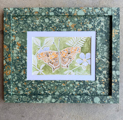 Butterflies 032