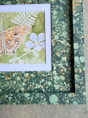Butterflies 032