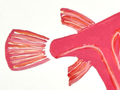 Pinky the Pufferfish