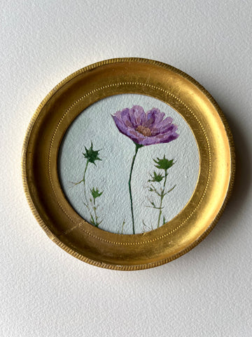 Cosmos Study ii