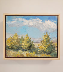 Evergreens in Sunlight