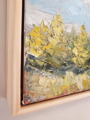 Evergreens in Sunlight