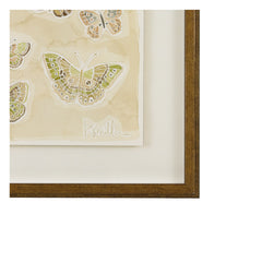 Butterflies 018