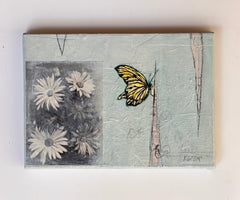 Flowers for Butterflies