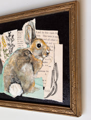 Rabbit Life
