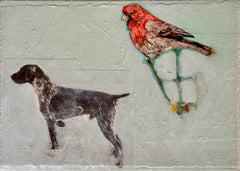 Red Cardinal