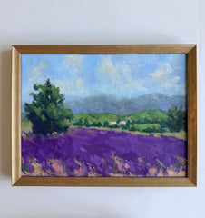 Lavender in the Luberon