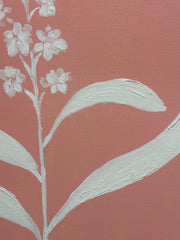The Colony Pink