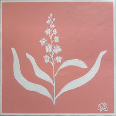The Colony Pink