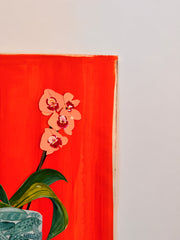 Orchids are so Coastal