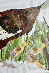 Hazel and the Jennies