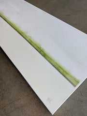 Mossy Marsh