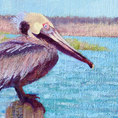 Pelican
