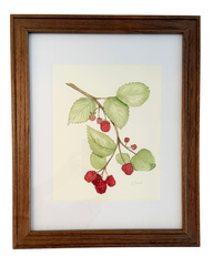 Raspberries
