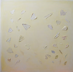 Reflections of a Reflector