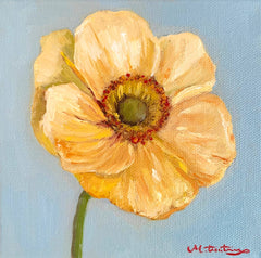 Yellow Poppy