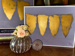 Hyacinth 4