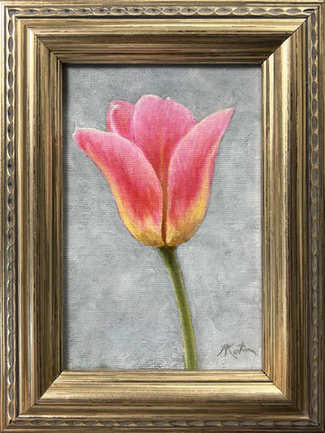 Tulip Study III