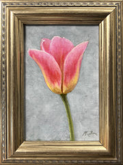 Tulip Study III