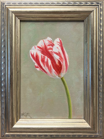 Tulip Study V