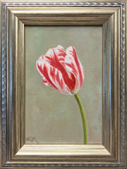 Tulip Study V