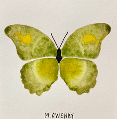 Butterfly No. 21