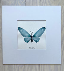 Butterfly No. 24