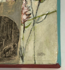 Wildlife With Garden