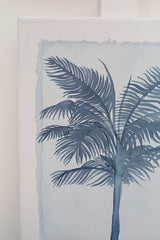 Indigo Palm II