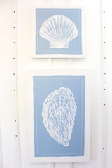 Scallop Shell on Blue