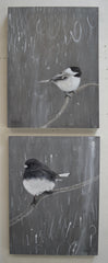 You Want to Play? (Carolina Chickadee) - Jane Ingols