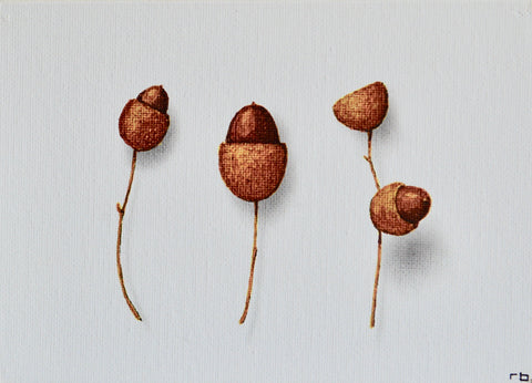 Acorns 2