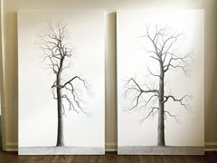 Shelby Park II (Psalm 40/17)