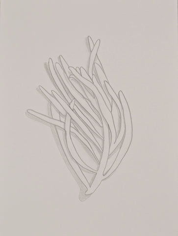 Abstract Succulent V