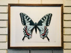 Butterfly Study 1