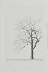 Psalm 86; Steadfast Love 1