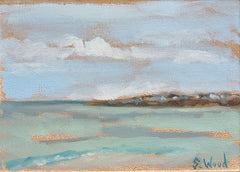 Pawleys Fishing Rocks