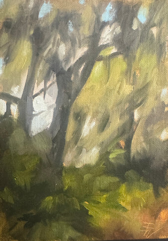 Maritime Forest II