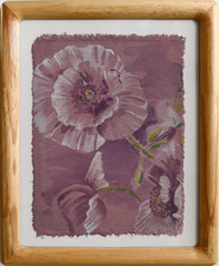 Black Poppy