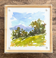 Blue Ridge Views II