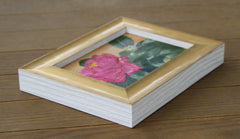 Camellia Sasanqua