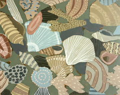 Calm Clams