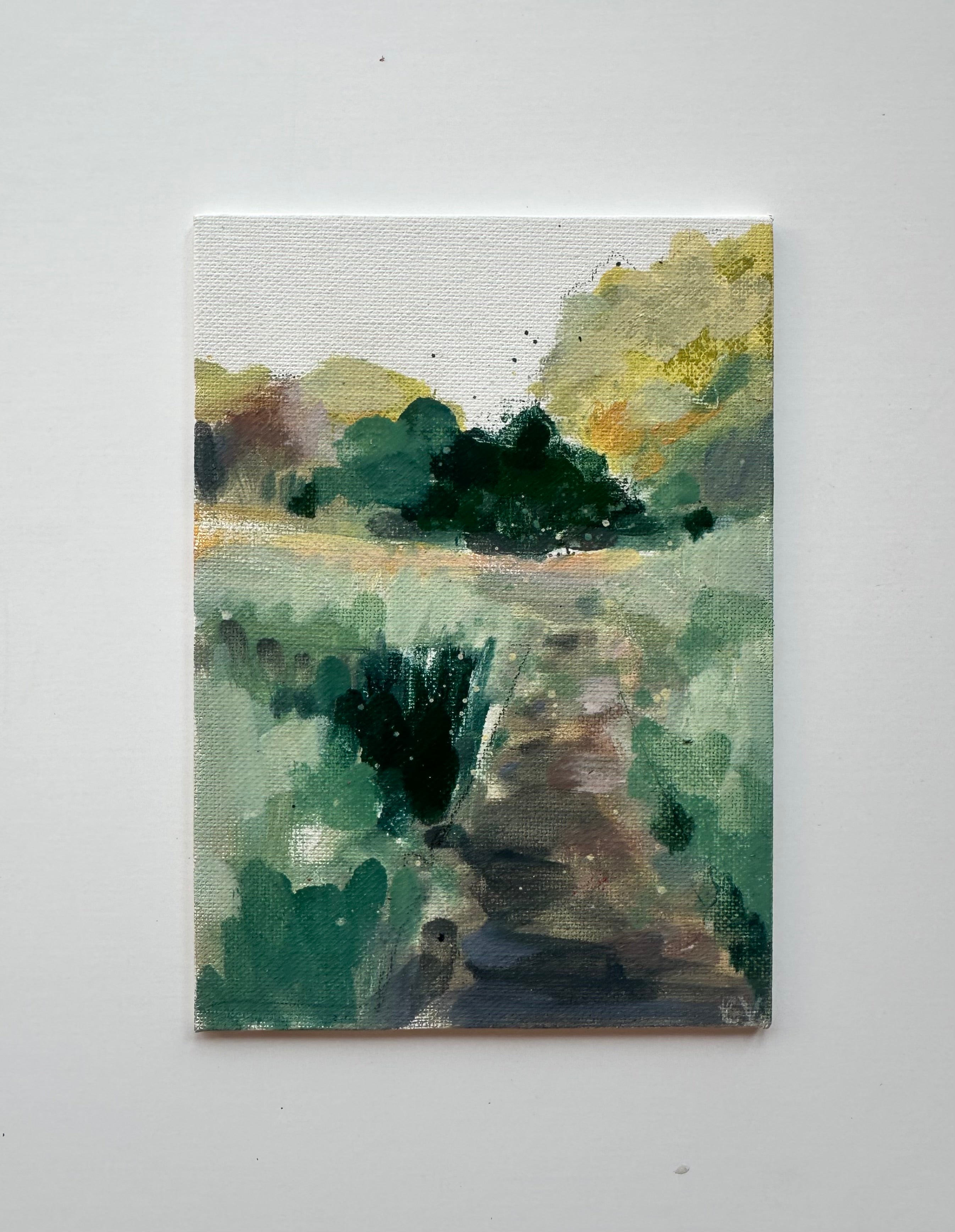 I Dream in Color Study