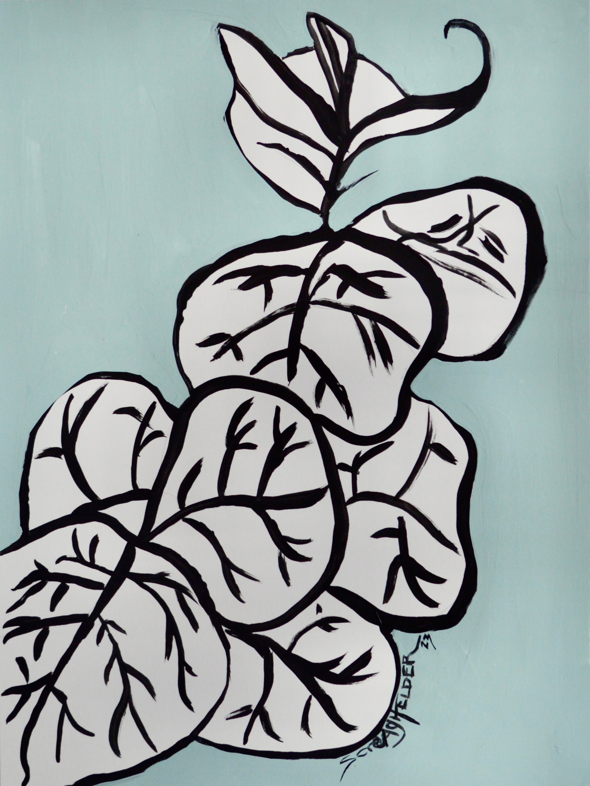 sea grape vs fiddle leaf fig Sea Grape Leaf – Artist Collectives